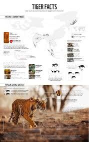 Tiger Facts Wwf Tiger Facts Wwf Tiger Tiger