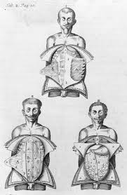 Biusante.parisdescartes.fr receives less than 1% of its total traffic. Biu Sante Paris Banque Image Universite De Paris Dessin