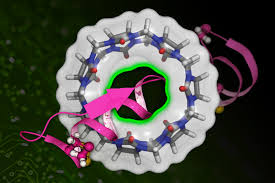 Premium drug, drug addiction, illegal drug trade 743 words | 3 pages position paper * a position paper is an essay that presents an opinion about an issue, typically that of the author or position paper example air force. Faster Drug Discovery Through Machine Learning Mit News Massachusetts Institute Of Technology