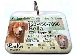 Personalized dog tags, cat tags with free laser engraving and lifetime guarantee. Pet Supplies Canada Driver License Saskatchewan Personalized Custom Id Tags For Dogs Cats Pets Regular 1 5 X 1 125 Amazon Com