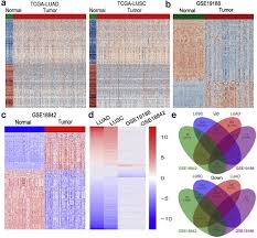 Quiet, beautiful, and often shopping in luxury stores. Long Noncoding Rna Pcat6 Functions As An Oncogene By Binding To Ezh2 And Suppressing Lats2 In Non Small Cell Lung Cancer Ebiomedicine