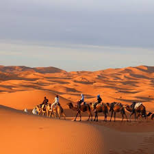 Visit fortified castles and hike gorges, the rose valley along the way of thousand kasbah. Best Morocco Desert Tours Private Tours 2021 2022 Morocco Camel Trips