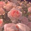 At ed moore florist, a flower and gift shop serving denver since 1948, we love nothing more than cre. 1
