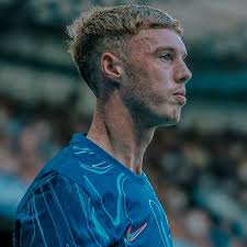 🇨 🇭 🇦 🇲 🇮 🇱 🩵🇨 🇫 🇨 (@Shamil_Yamal)