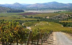 Postal codes for region curico, chile. Curico Valley In The Wine Route Chile South American Trips