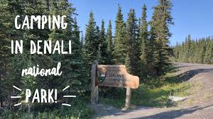 Denali national park rv camping. Camping At Teklanika Campground In Denali National Park Youtube
