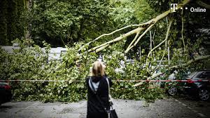 In niederbayern sind durch das hochwasser schäden in zweistelliger millionenhöhe entstanden. Unwetter In Deutschland Orkanboen Und Gewitter Richten Schwere Schaden An