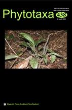 Image result for Isoglossa laxiflora