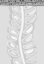 Image result for Mesanthemum africanum