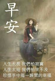 pin by phyllis on 早安問候語 morning greetings quotes good morning wishes morning quotes