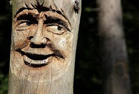 Colorful Cartoon Forest Animal Heads Set Featuring Smiling Beaver And  Humorous Creatures Photo Background And Picture For Free Download