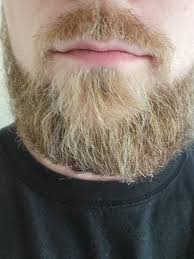 See more ideas about facial hair, facial, hair. Removing Gray From Blonde Light Brown Beard Beards
