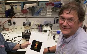 Sir Tim Hunt: I am interested in how cells know what they are and how they  should behave