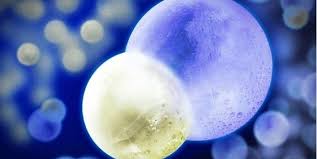 If you thought the hardest substance on earth was diamond, that was a good, if inaccurate guess. Scientists Create The Coldest Material On Earth