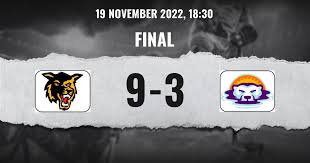 Statewide Florida Hockey League