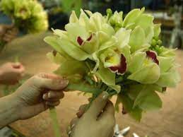 We did not find results for: Cymbidium Orchid Bouquet Diy