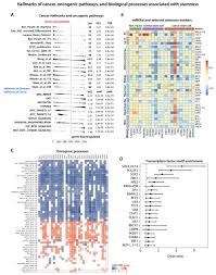 The following moonlight romance 1 with english sub has been released. Machine Learning Identifies Stemness Features Associated With Oncogenic Dedifferentiation Abstract Europe Pmc