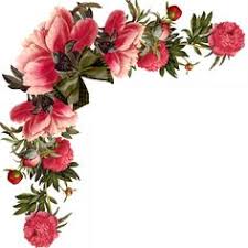 Fiore, fiori, fiori, papaveri rosa con sfondo blu, arte, fiorire png. 220 Idee Su Cornici E Bordi Png Cornici Bordi Png