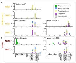 Angka meaning i miss you arti dan makna 607 meaning in text bahasa romantis trendsterkini dihghmatoupolis author juli 24, 2021. Study Addresses Glycosylation Concerns In Sars Cov 2 Vaccine Design