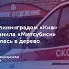 Иллюстрация к новости по запросу Peugeot (Комсомольская правда)