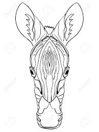 You can therefore safely color the stripes of this zebra in any color you like without endangering it. Zebra Animals Of Africa Vector Illustration Zebra Head Horse Royalty Free Cliparts Vectors And Stock Illustration Image 144569387