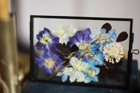 keptflora) • Instagram photos and videos