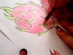 How To Draw A Dragon Fruits Youtube It can be bought in the shop with $3,500,000 beli / r$2,600 robux which is the most expensive fruit in the game. how to draw a dragon fruits