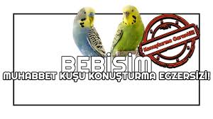 Bebisim Muhabbet Kusu Konusturma Egzersizi Konusturma Garantili Youtube