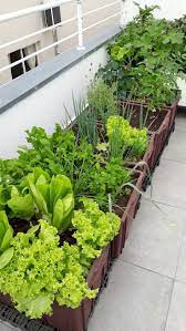 50 Inspiring Small Vegetable Garden Ideas Landschaftsbau Landschaftsbau Ideen Garten