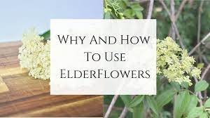 If you've ever had a ricola cough drop, you've had a little medicinal i get so many questions about how to use elderberry and elderberry blossoms that i wrote a short downloadable guide to using elderflowers and. Why And How To Use Elderflowers Youtube