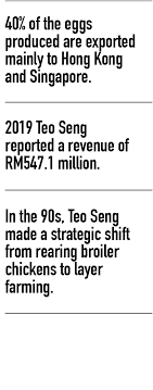 Income statements, balance sheets and cash flows. Teo Seng One Of Malaysia S Largest Egg Producer