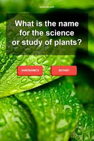 Among these were the spu. What Is The Name For The Science Or Study Of Plants Riddles With Answers Clever Trivia Quizzes Science