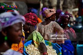 3,665 Barry Bush Stock Photos, High-Res Pictures, and Images