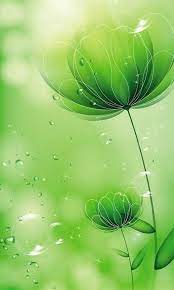 Green Flowers Flower Background Wallpaper Beautiful Wallpapers Beautiful Flowers Wallpapers