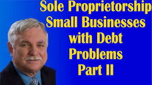 Sole Proprietorship Small Businesses with Debt Problems Part II