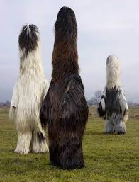 Charles Fréger Wilder Mann The Image Of The Savage Wilder Mann The Image Of The Savage Pagan Rituals Costumes Weird