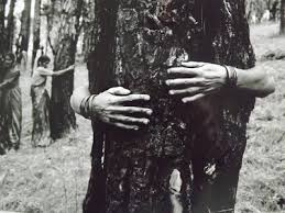 Hindu Tree Huggers The Chipko Movement Academy For Distance Learning
