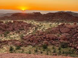 Image result for Phaeoptilum spinosum