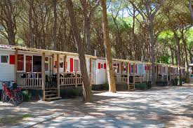 Mare, tranquillità e relax al camping pineta prenota la tua vacanza mare, tranquillità e relax al camping pineta campeggio nella pineta con accesso privato al mare, bungalow di legno spazioso, pulito, cucina attrezzata. Mobilhome Sea Holiday Adriatic Sea Camping Bungalow Comacchio