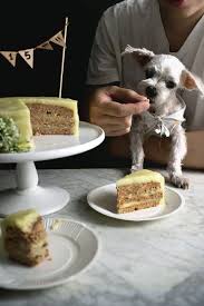 Doggy Meatloaf Birthday Cake For Big 15th Recipe Dog Birthday Cake Recipe Dog Cake Recipes Dog Cakes