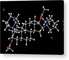 Image result for Pancuronium