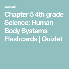 Chapter 5 4th Grade Science Human Body Systems Flashcards Quizlet Human Body Systems Body Systems 4th Grade Science