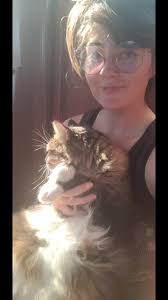 I joke I'm with my partner for his cat but let's be real, it's true #cat  #catbestfriend #norwegianforestcat