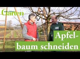 Einen jungen apfelbaum selbst schneiden. Gartentipp Apfelbaum Schneiden Youtube