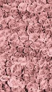 Pin De Loseva Inna Em Wallpaper Me Papeis De Parede Vintage Papel De Parede Floral Rosas Papel De Parede Baixe estas foto gratis sobre papel de parede vintage, e descubra mais de 8 milhao de fotos de arquivo profissionais no freepik. pinterest