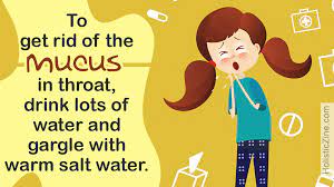 Causes Of Mucus In Throat Mucus In Throat Mucus Getting Rid Of Mucus