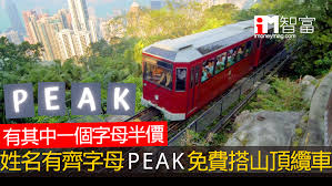 山頂公共交通總站（the peak public transport terminus，城巴新巴地點代號為pea），位於港島中西區山頂山頂道118號山頂廣場地下，屬鄉郊建屋地段第3號範圍，是一個位處室內及採用平行式月台計的公共運輸總站，設有巴士總站、專綫小巴總站及. å±±é ‚çºœè»Š Google æœå°‹