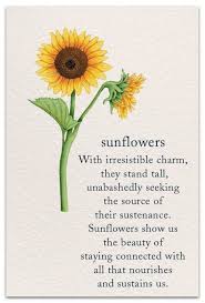Sunflowers Sunflower Quotes Flower Quotes Flower Meanings