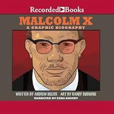 X Audiobook by Jessica Gunderson, William Hayden, Keith Mayes PhD