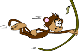 Image result for monkey picture cartoon